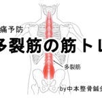 多裂筋の筋トレ